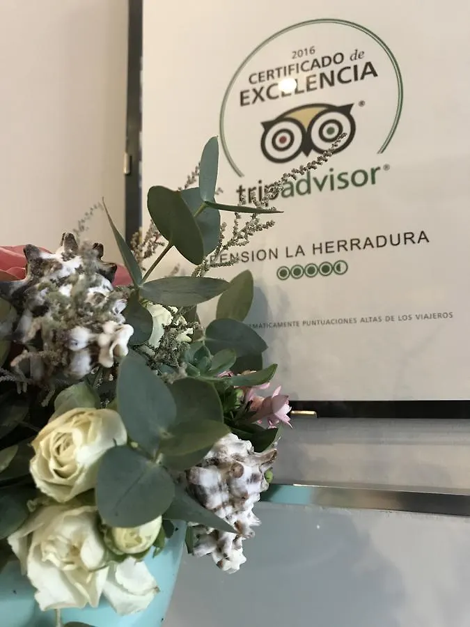 Guest house Pension La Herradura La Herradura  Spain